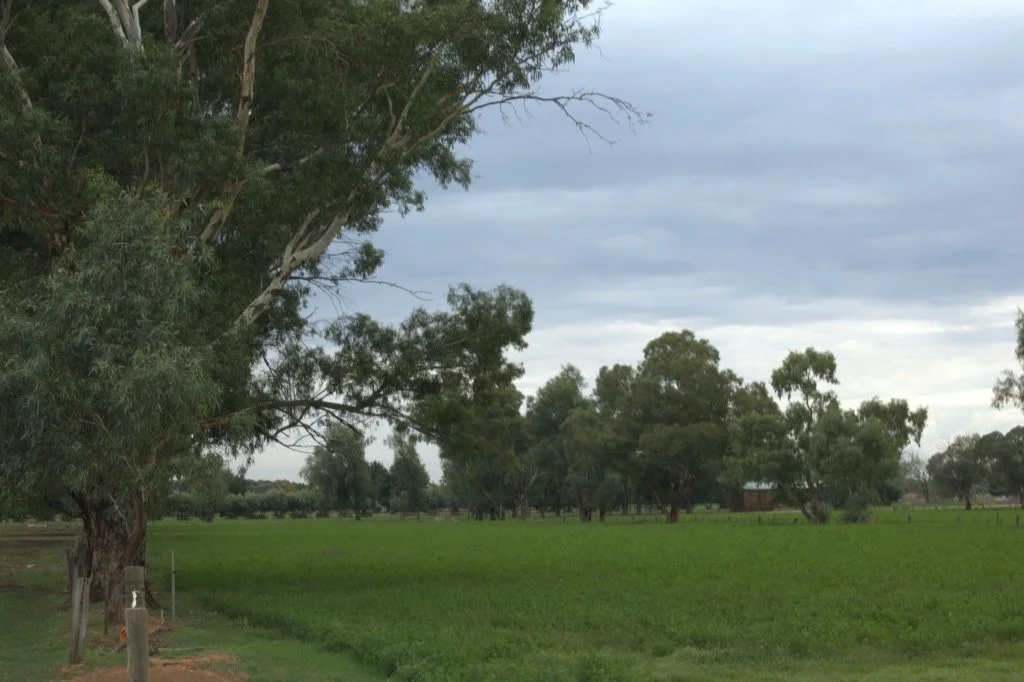 546 Hansen Road - Image 3