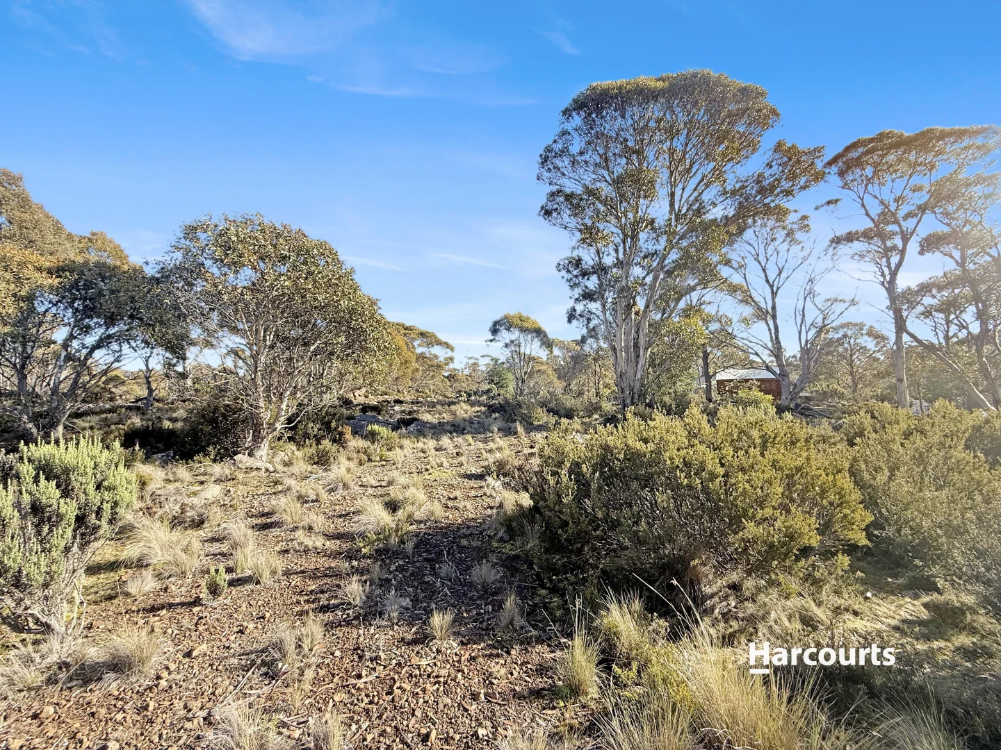 55 Fleming Drive - Image 4