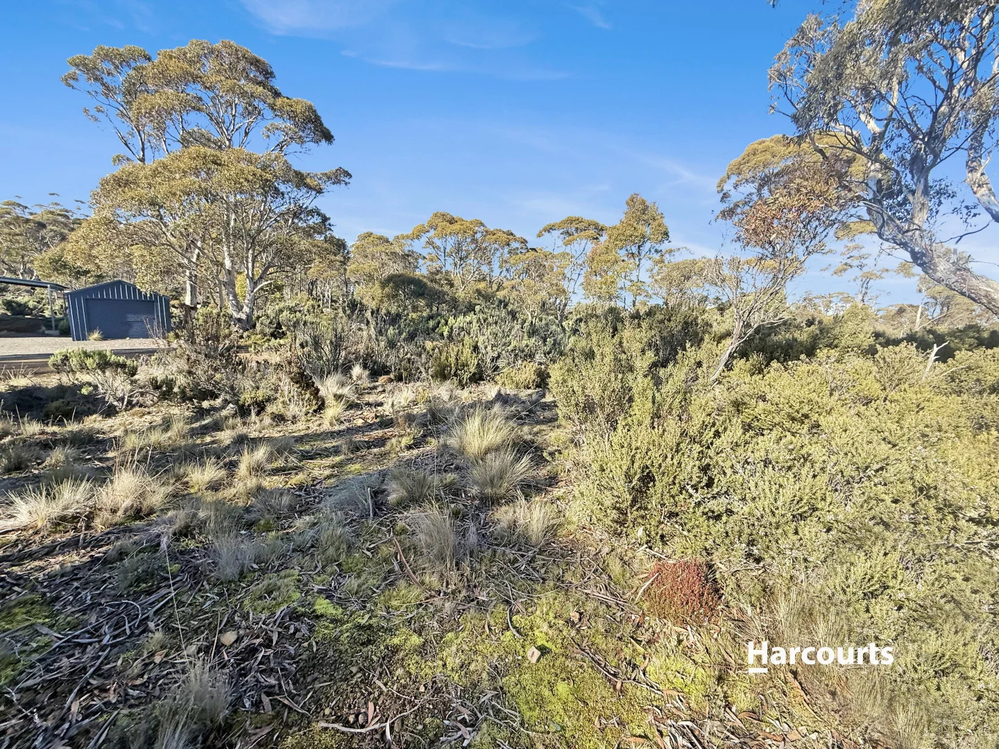 55 Fleming Drive - Image 5