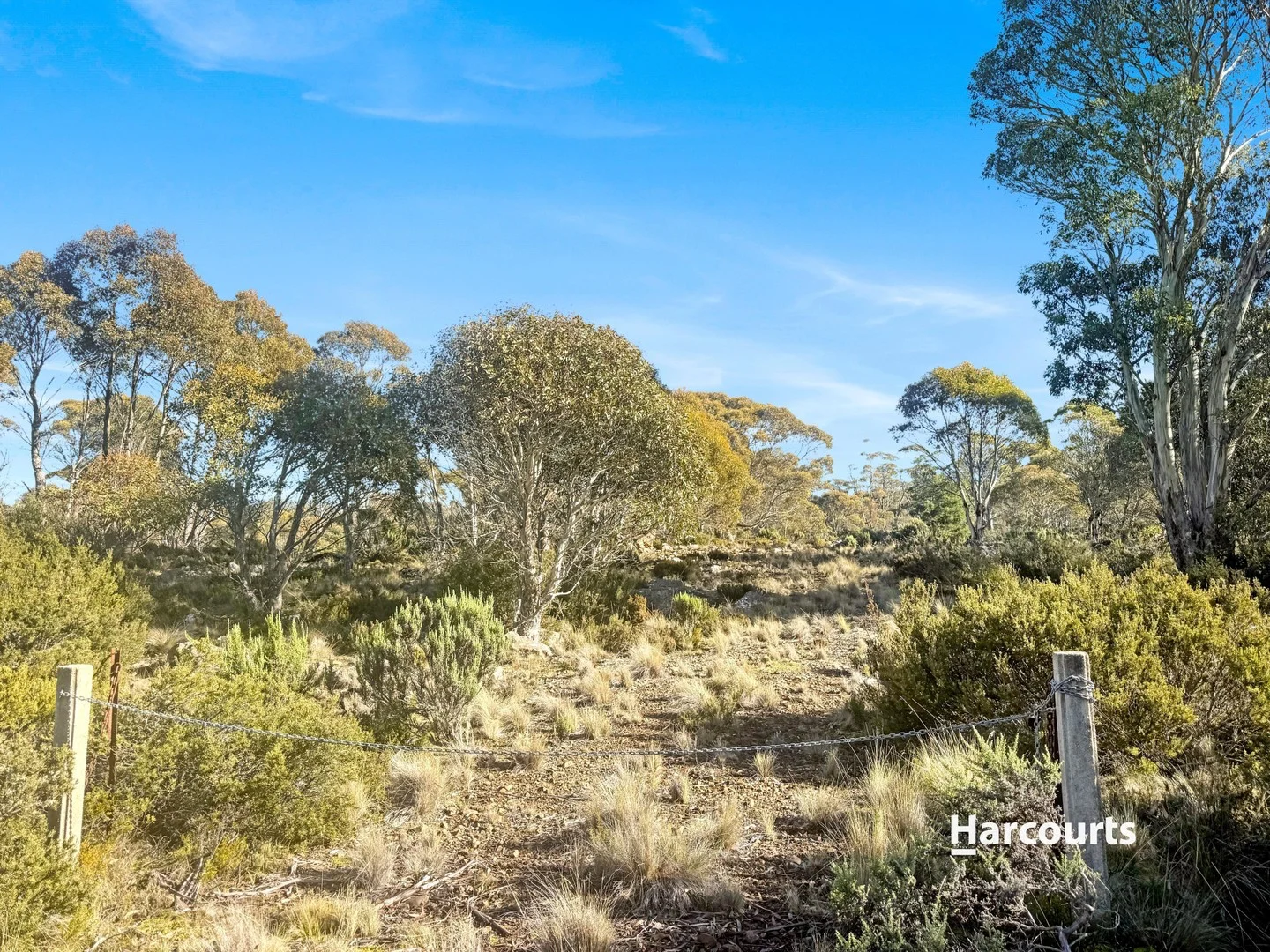 55 Fleming Drive (1/3)