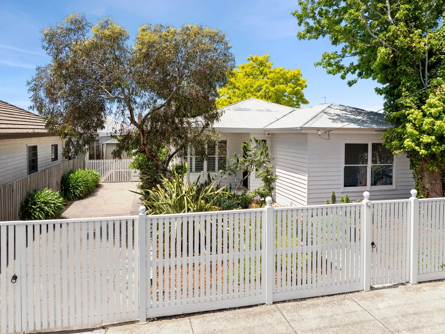 56 Elizabeth Street (1/1)