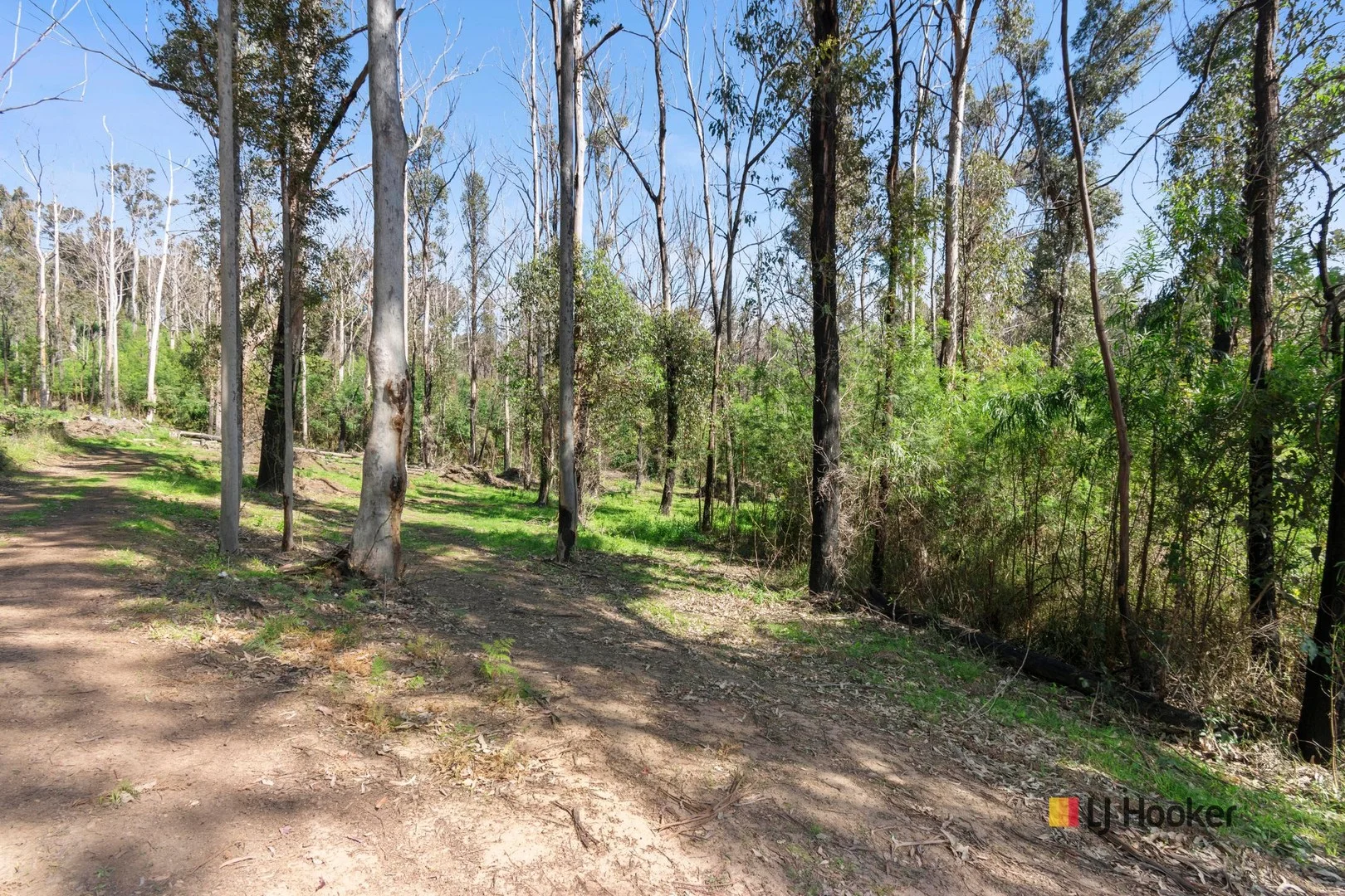 57 Waterson Drive (1/9)