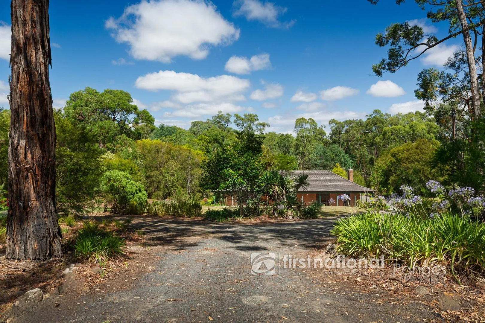 58 Lusatia Park Road (1/20)