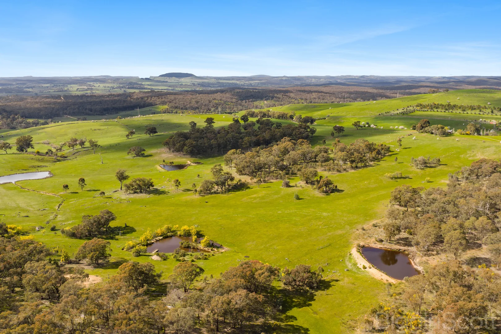 595 Providence Gully Road - Image 4