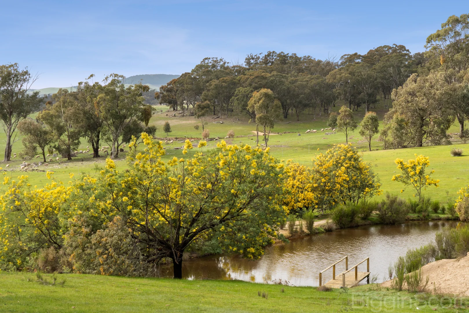 595 Providence Gully Road - Image 3