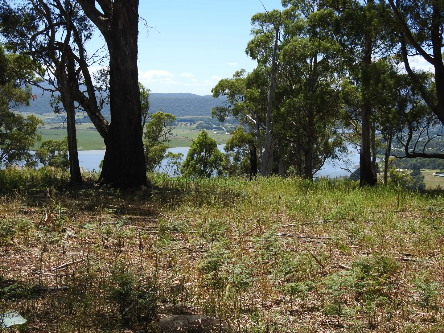 5A Eiger Court - Image 3