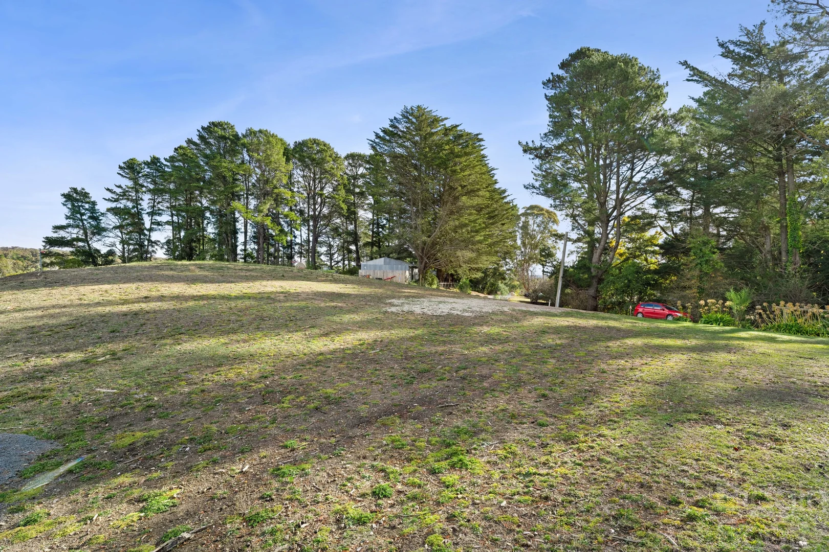 5a Lone Pine Avenue - Image 5