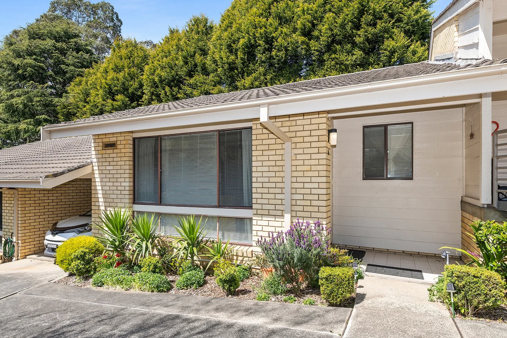 6/10 Arthur Street (1/1)