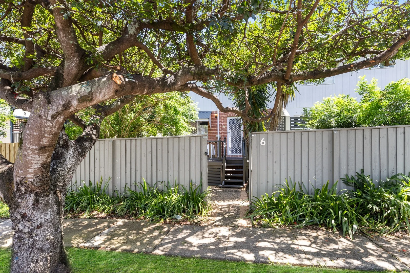6/25 Grosvenor Street (1/1)