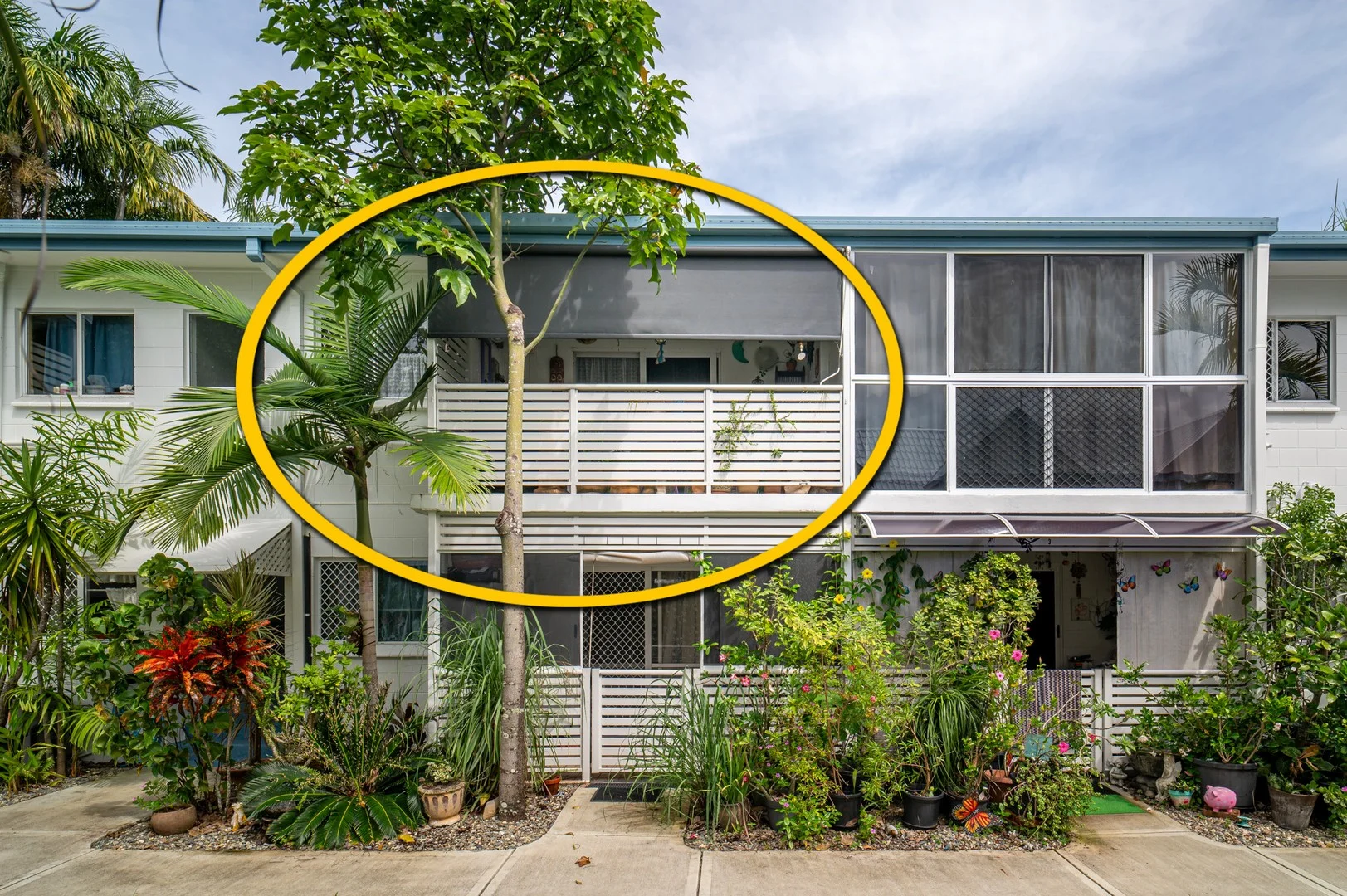 6/33 Rutherford Street (1/1)