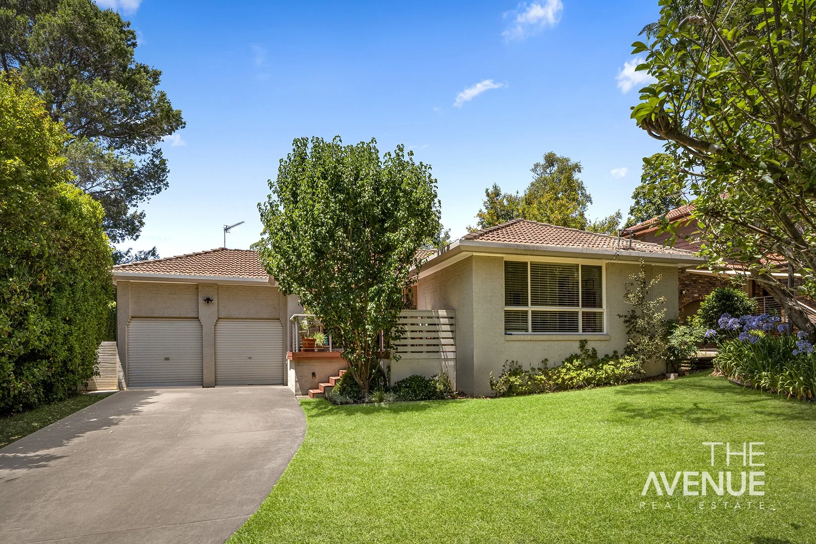 6 Benalla Avenue (1/1)
