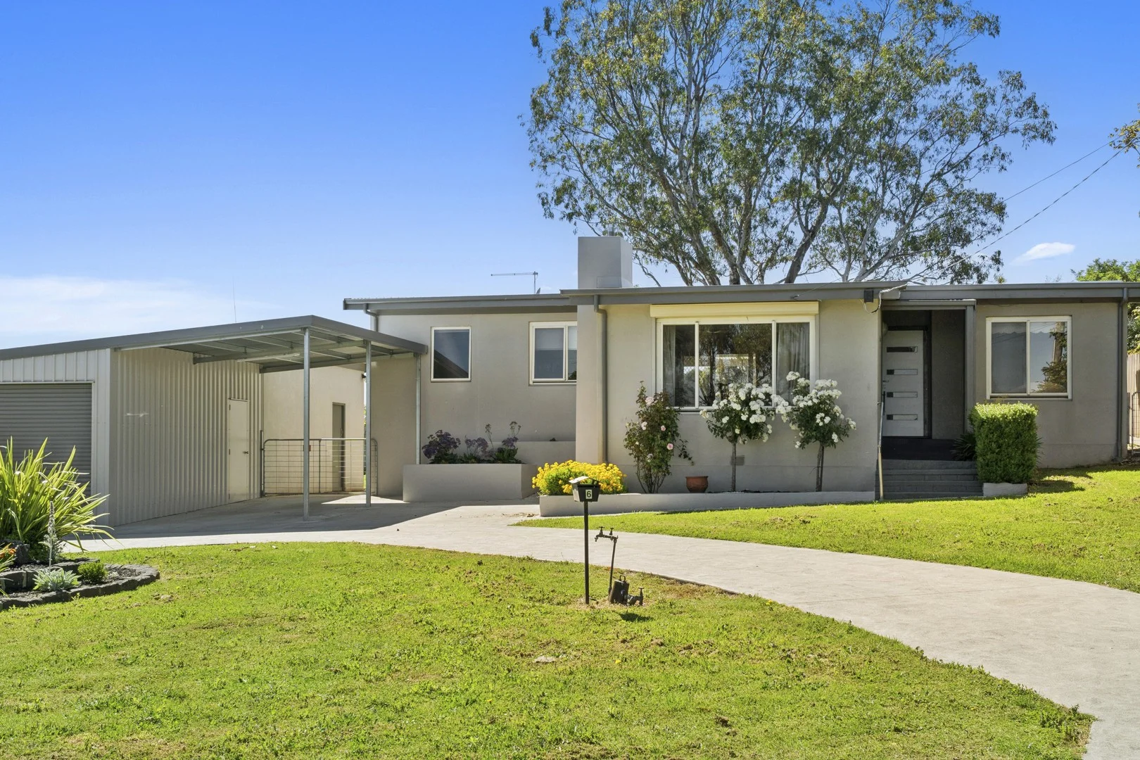 6 Clarke Street (1/1)