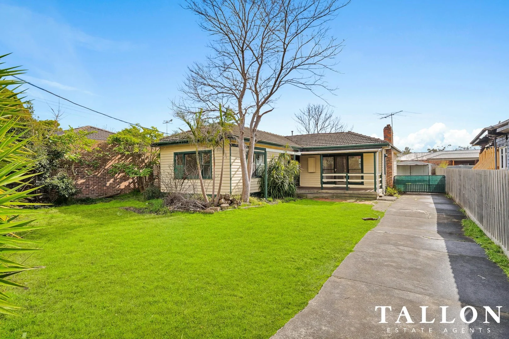6 Elizabeth Street (1/1)