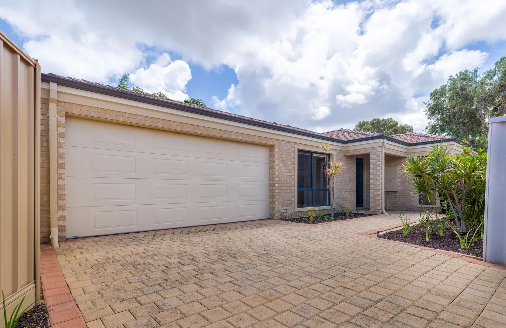 6 Fig Close (1/15)
