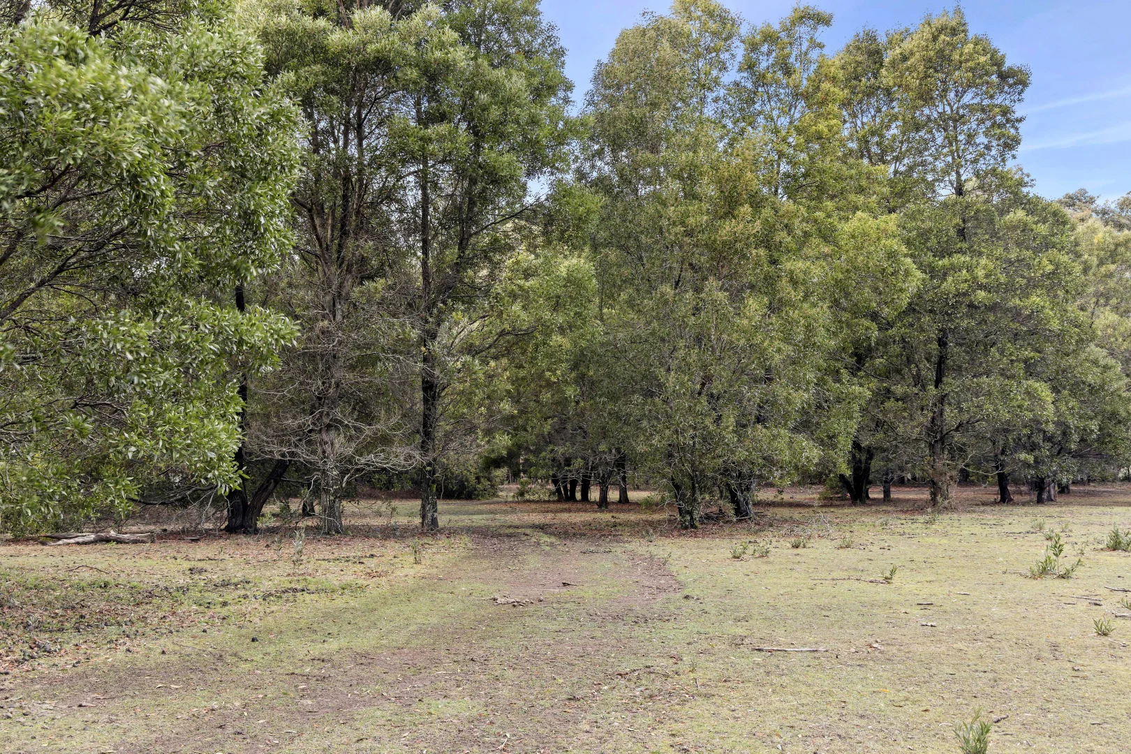 6 Mullens Road - Image 5