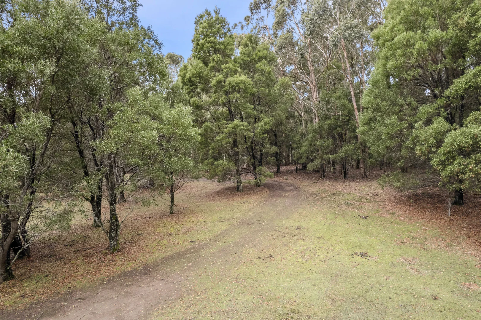6 Mullens Road - Image 4