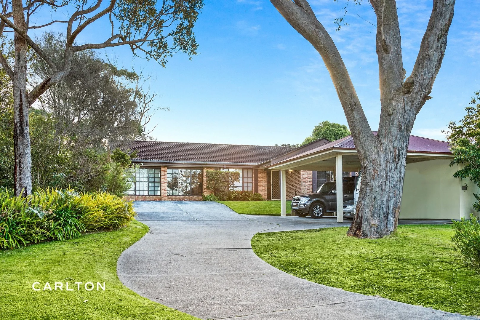 6 Warrigal Street (1/11)