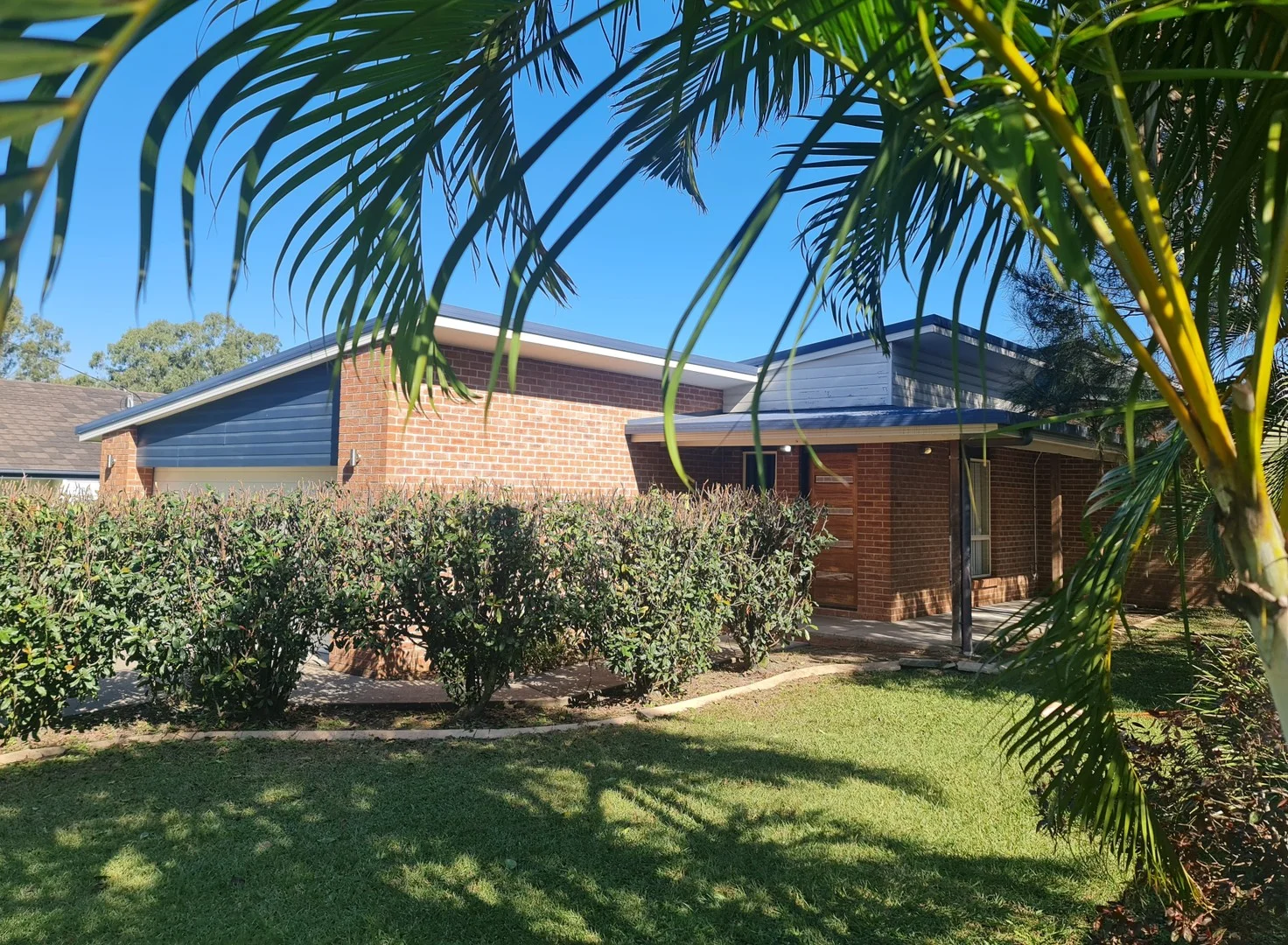 608 Alice Street (1/14)