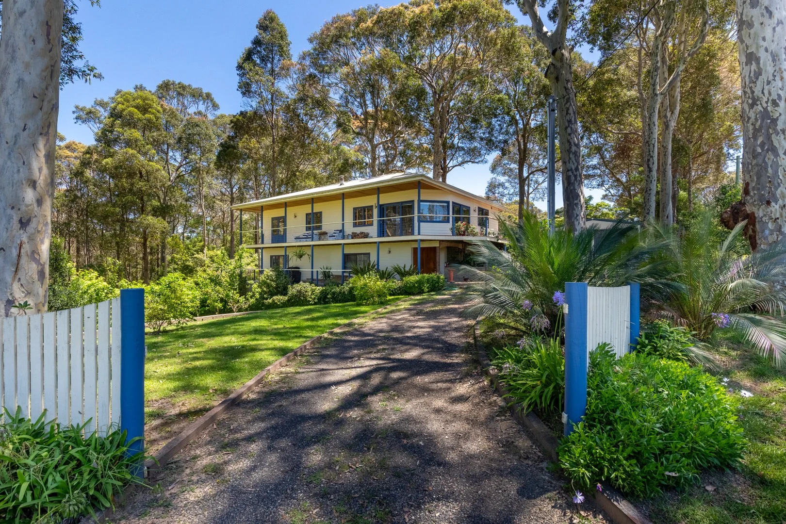 64 George Street (1/23)