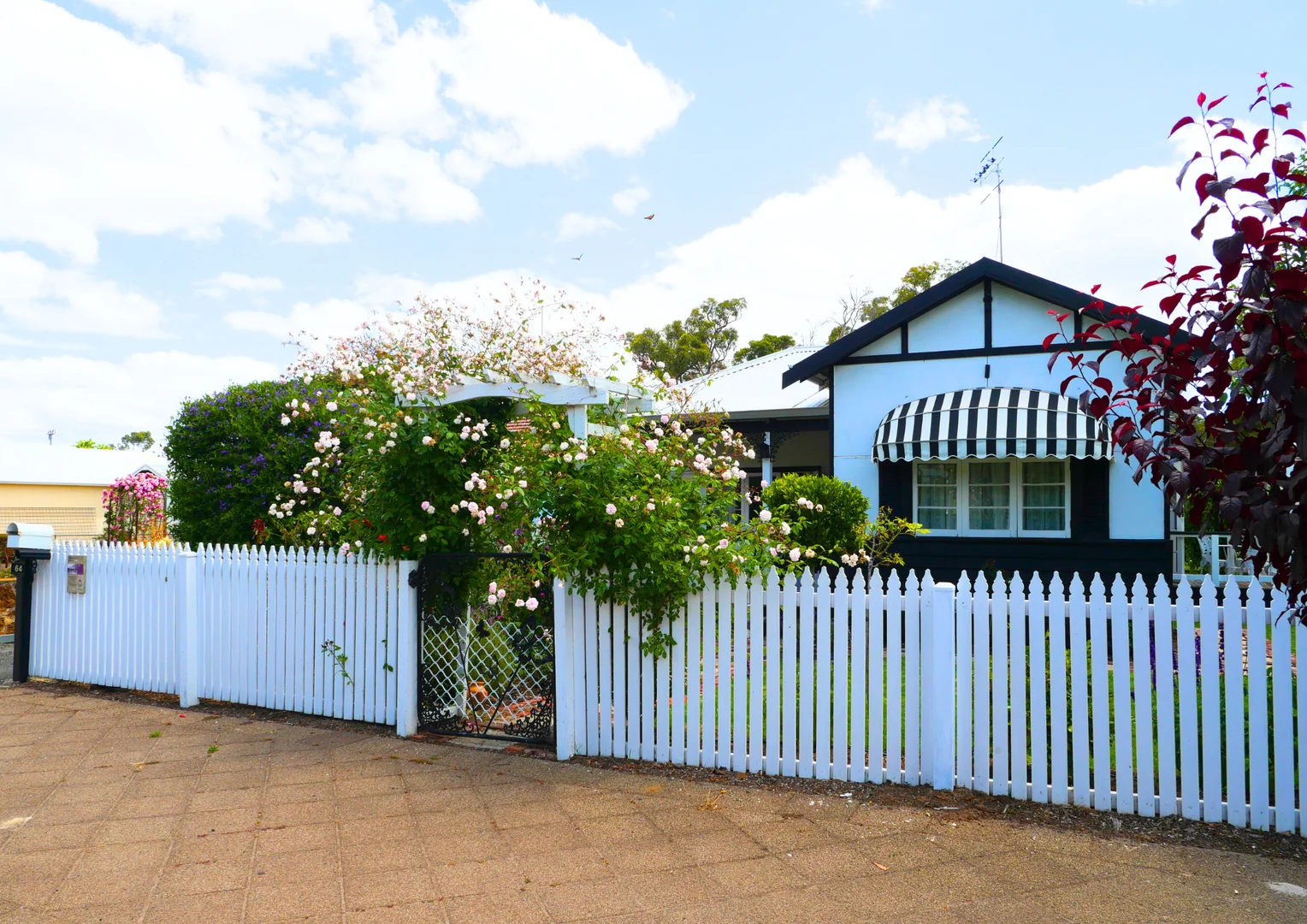 64 Warren Road (1/1)