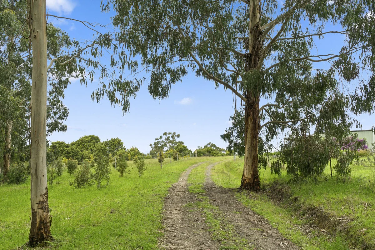 640 Forrest-Apollo Bay Road - Image 4