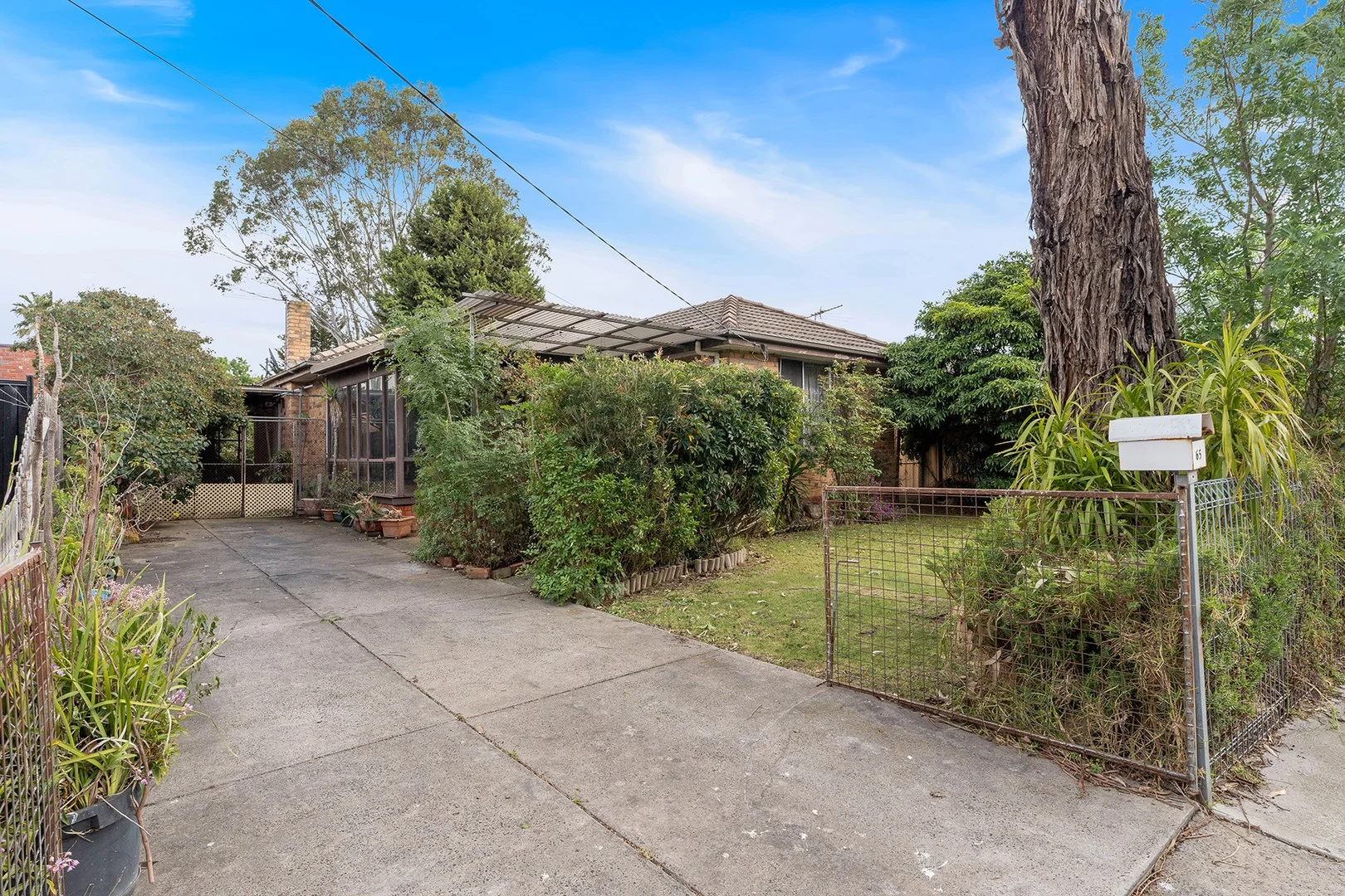 65 May Street (1/1)