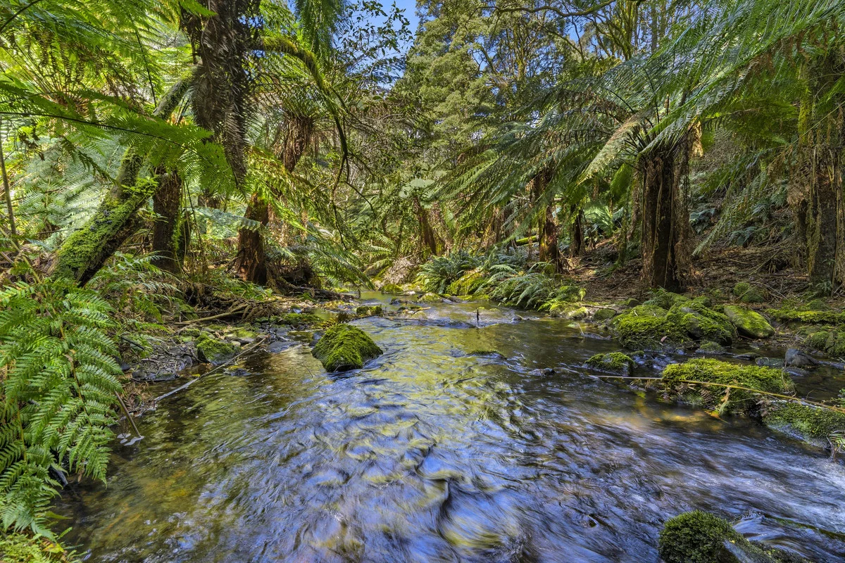 675 Skenes Creek Road - Image 3