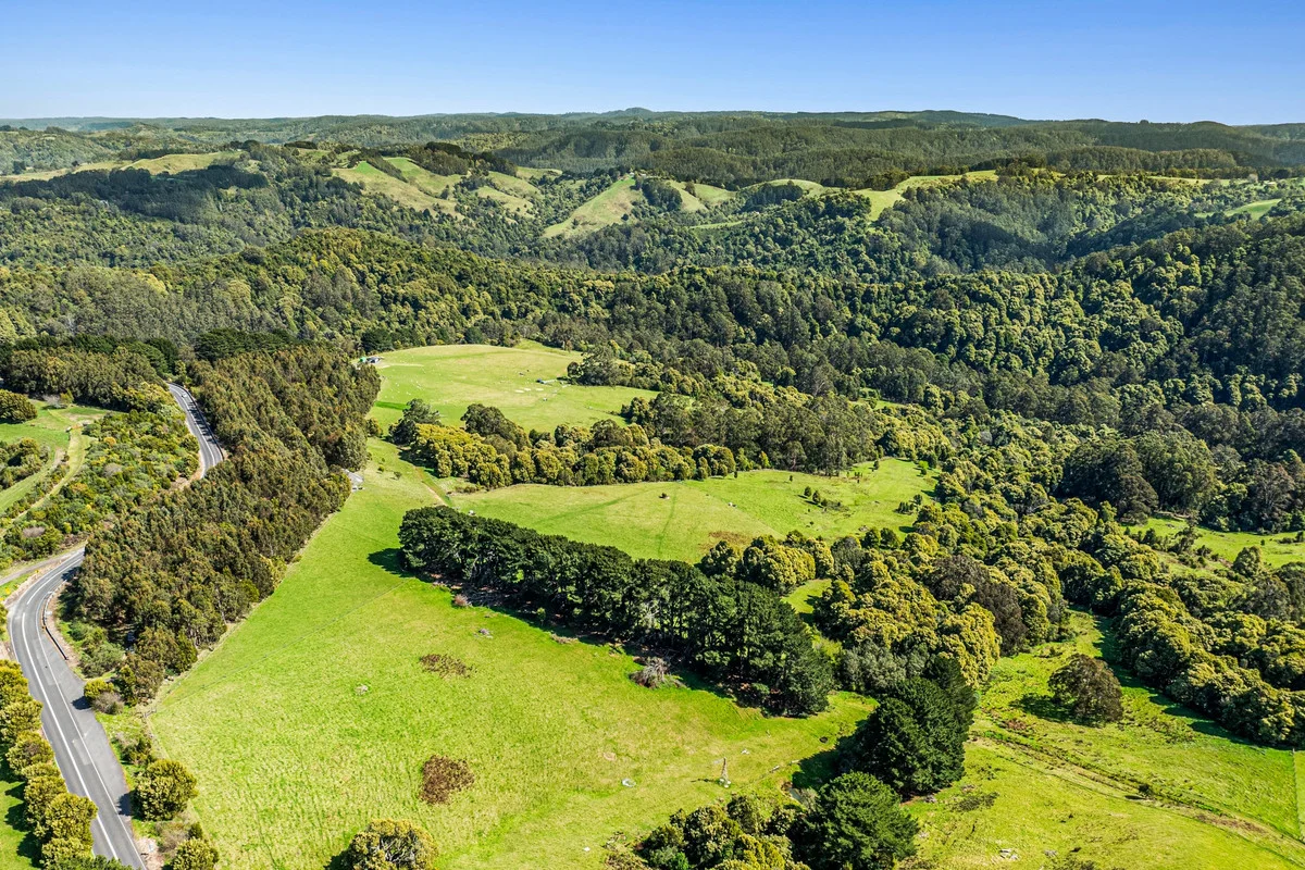 675 Skenes Creek Road - Image 4