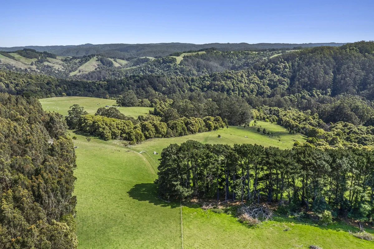 675 Skenes Creek Road - Image 5
