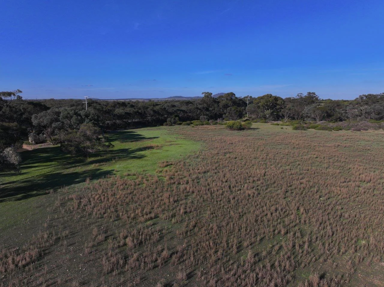 6803 Calder Highway - Image 3