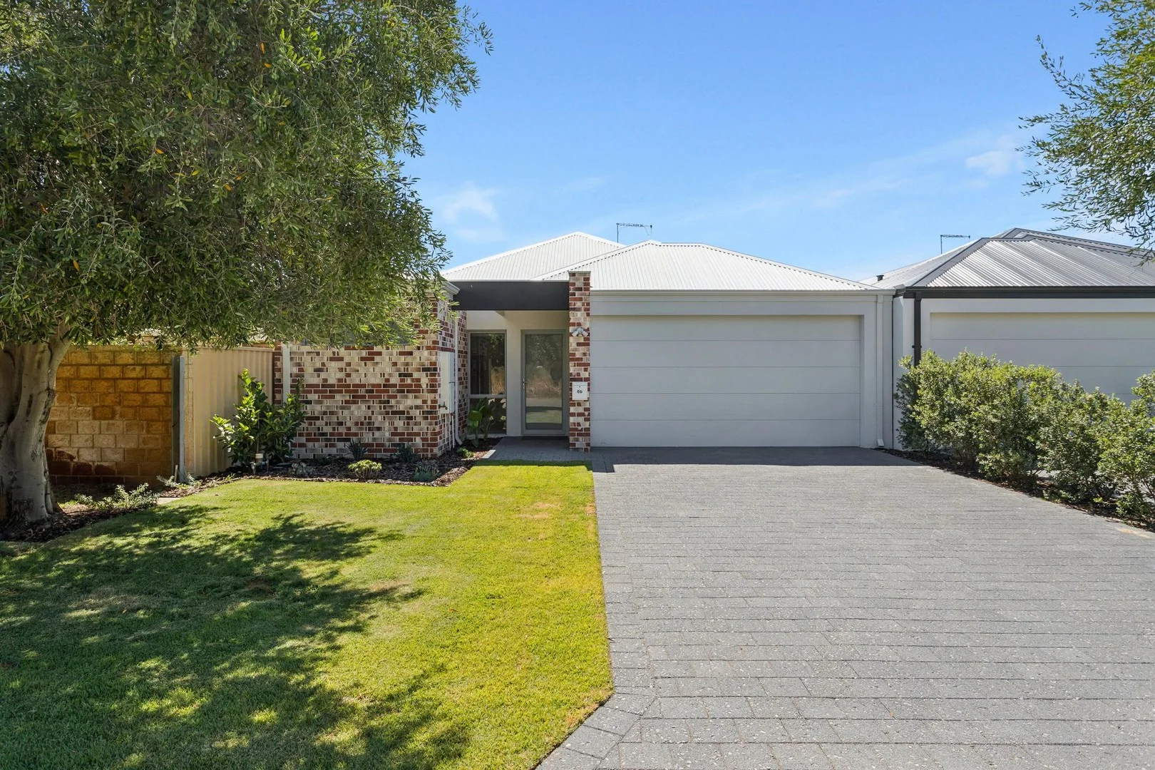 6B Searle Street (1/31)