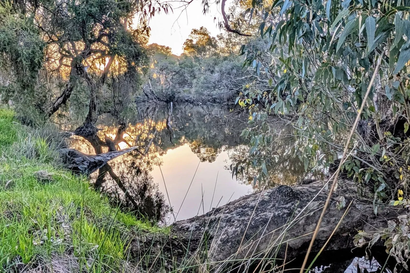 706 Orange Springs Road - Image 3