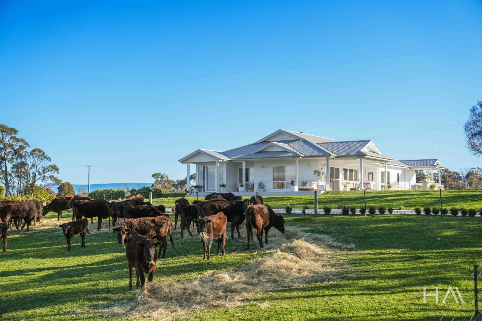 709 Illawarra Road - Image 3