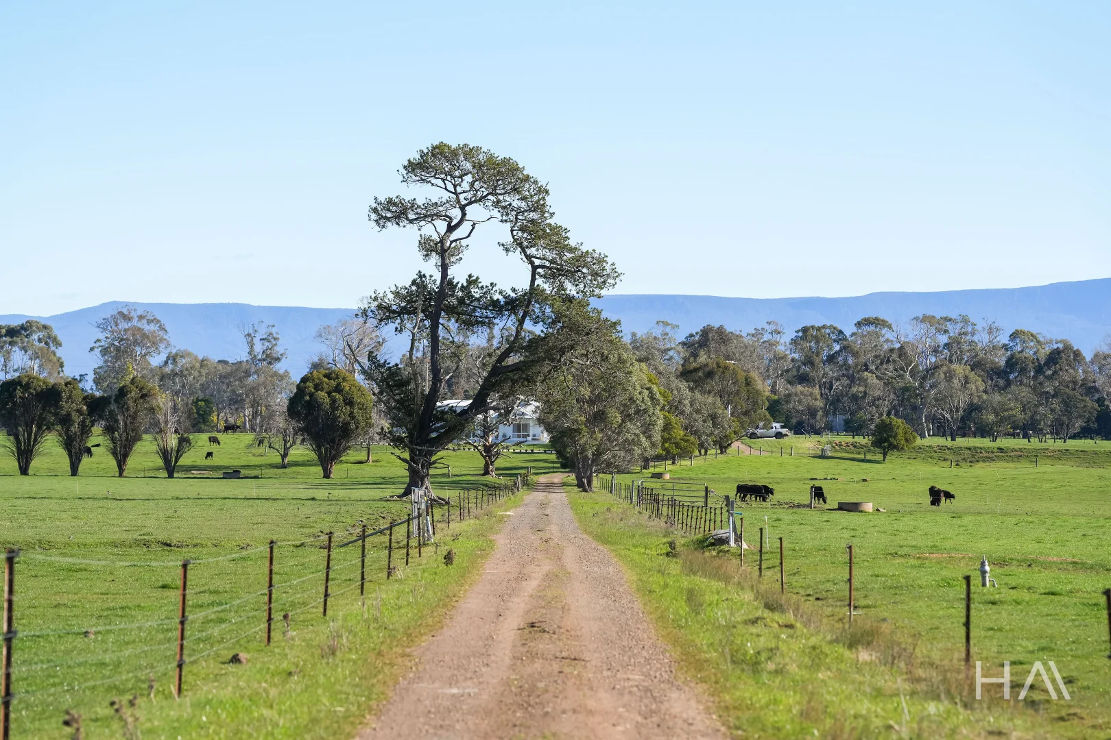 709 Illawarra Road - Image 2