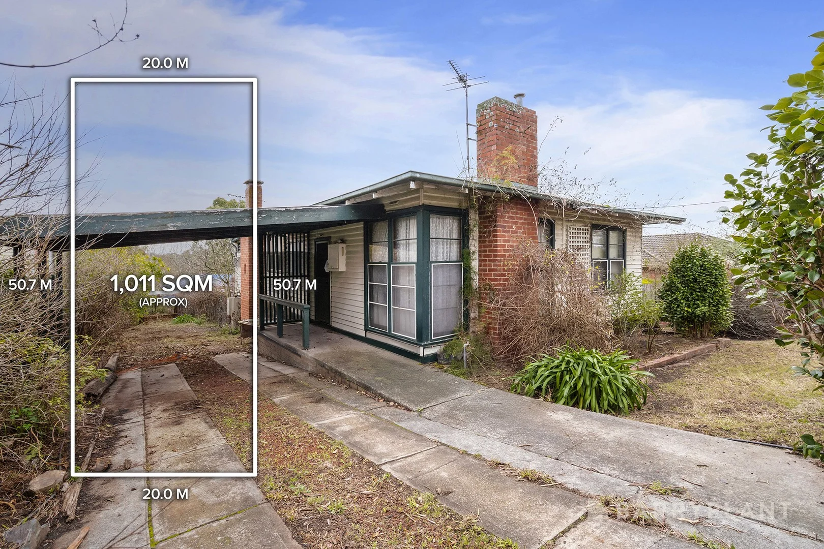 71 Clarke Street (1/13)