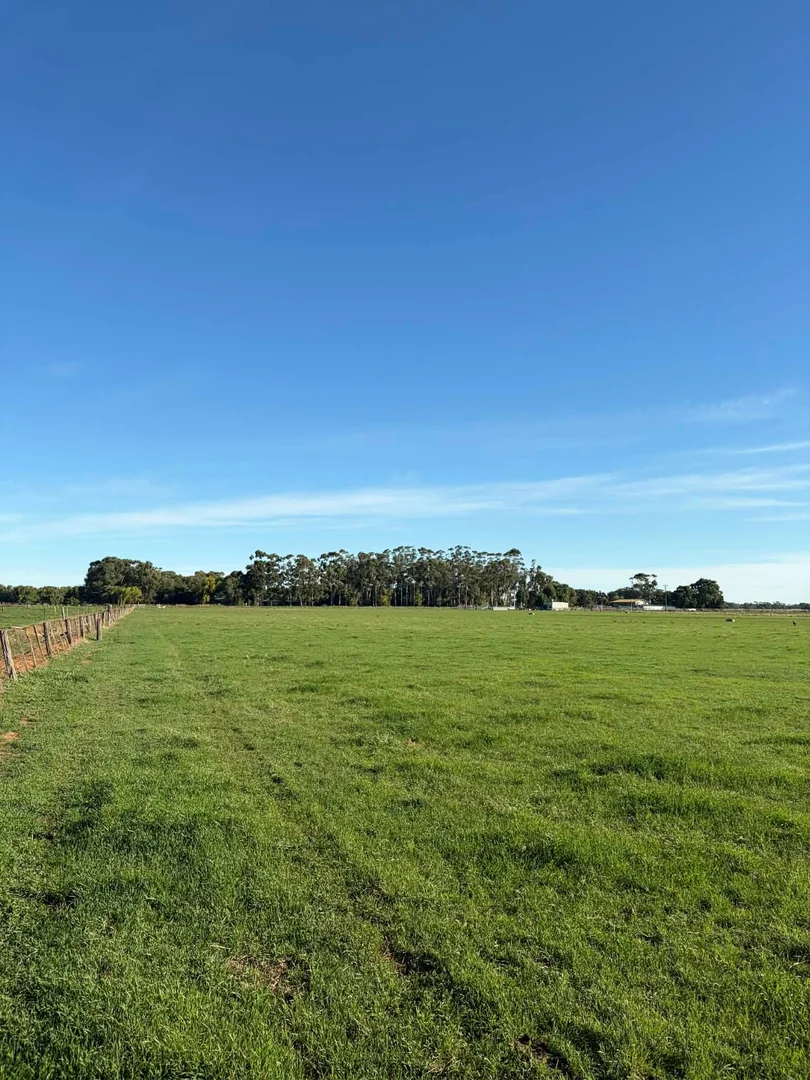 78 Nicholson Lane - Image 2