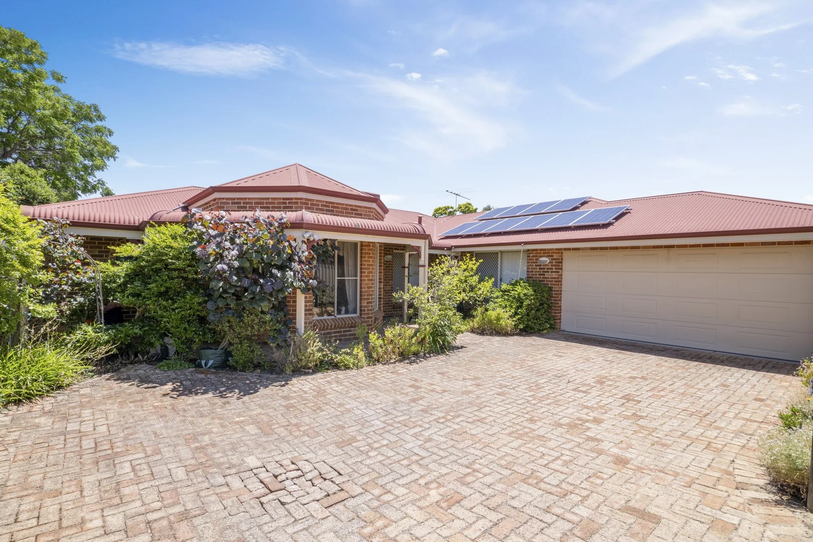 7B Zenobia Street (1/25)