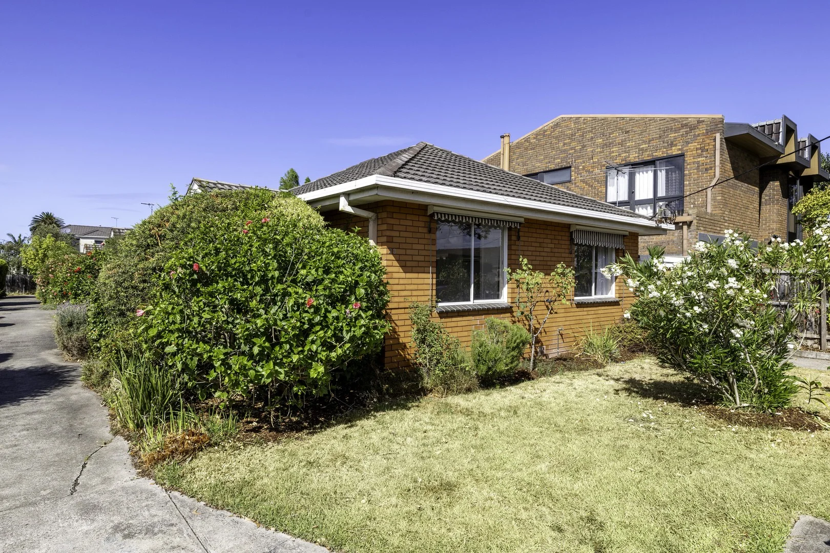 8/21-23 Newlyn Street (1/1)