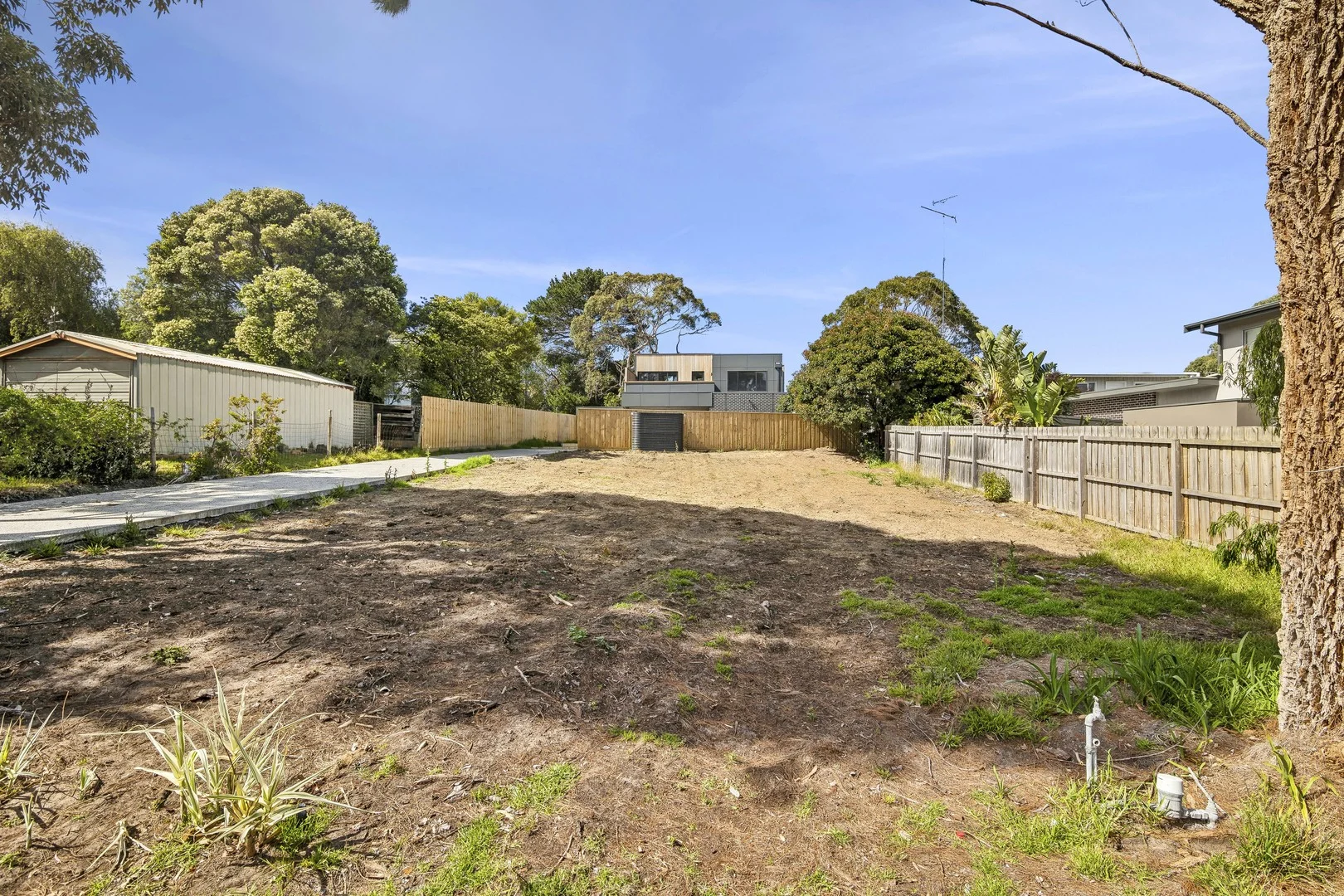 8 Elizabeth Street (1/6)