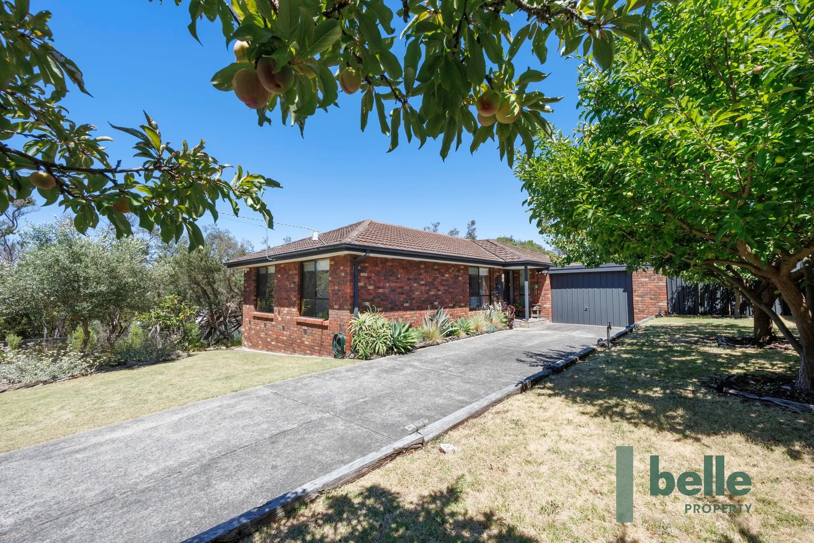 8 Hillcrest Drive (1/23)