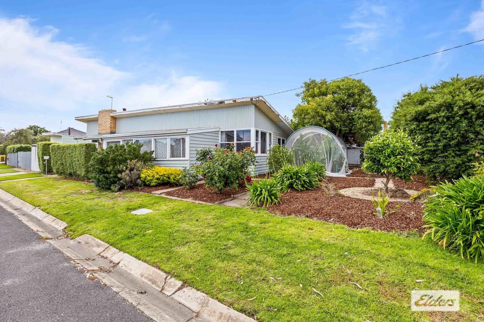 8 Lamont Street (1/1)