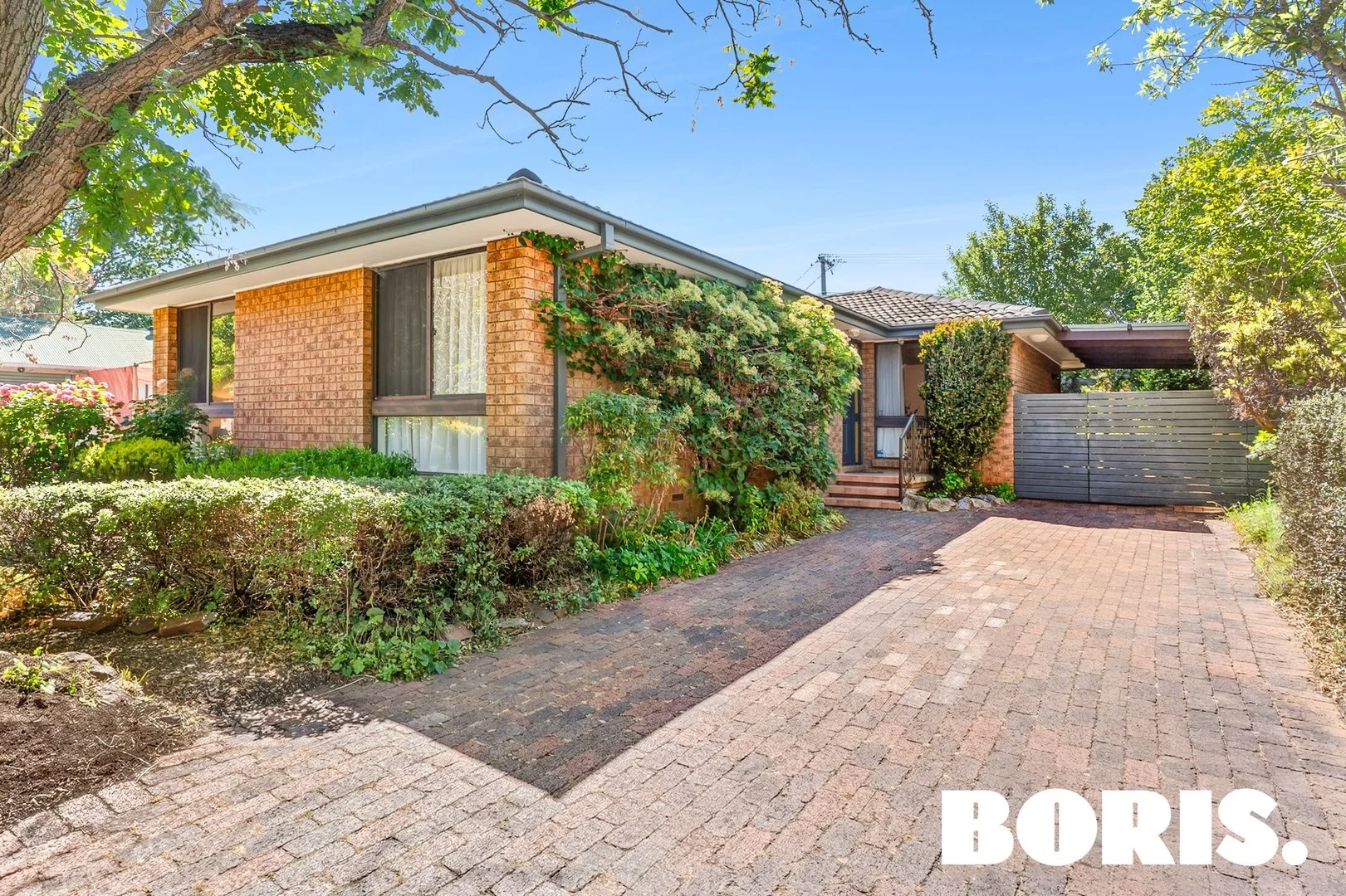 8 Nimbin Street (1/16)