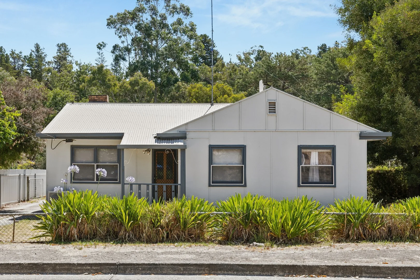 8 Smillie Street (1/14)