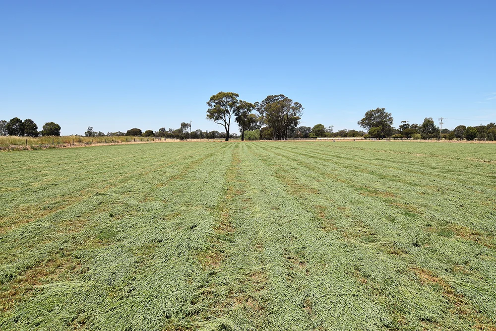 800 Mason Road - Image 3