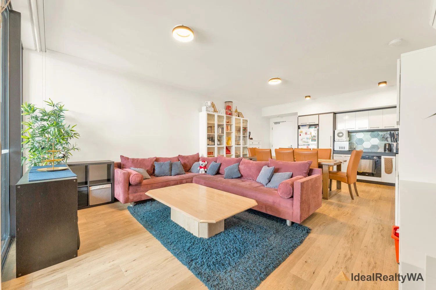 808/14 Cecil Avenue (1/36)