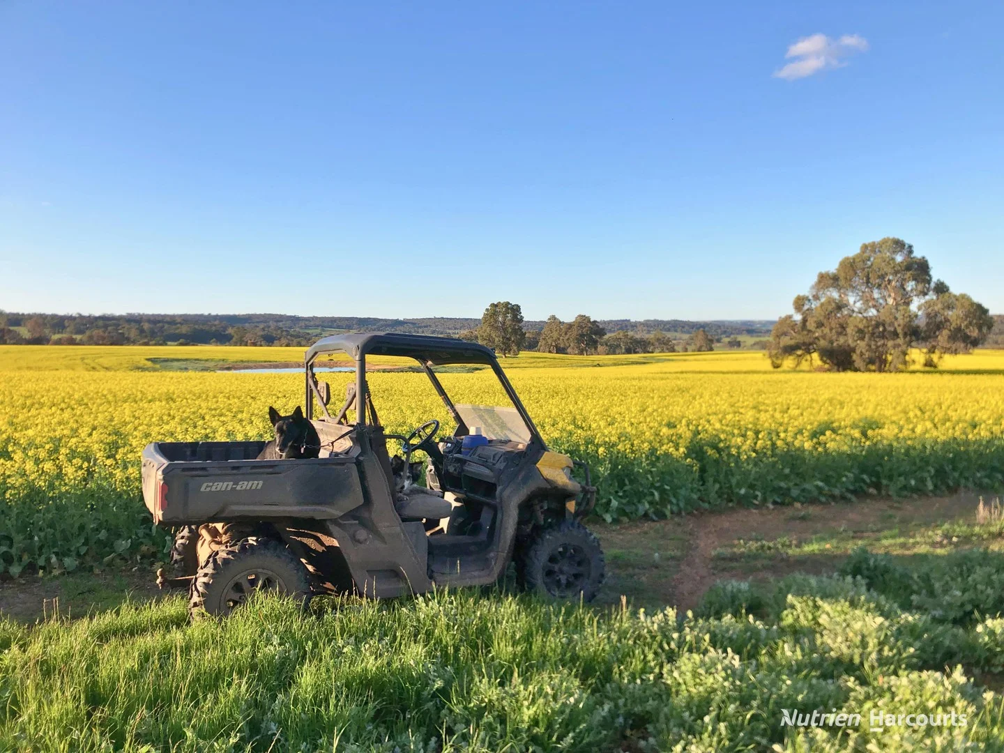 8221 Brookton Highway (1/36)