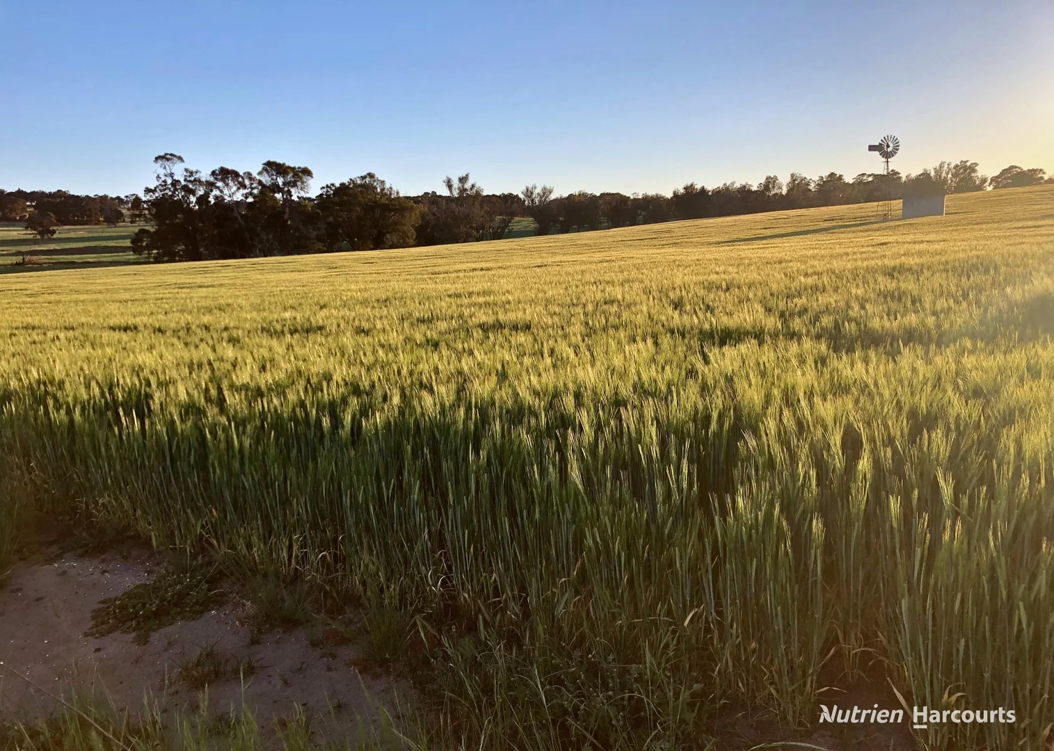 8221 Brookton Highway - Image 5