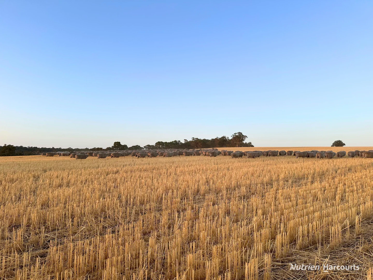 8221 Brookton Highway - Image 2