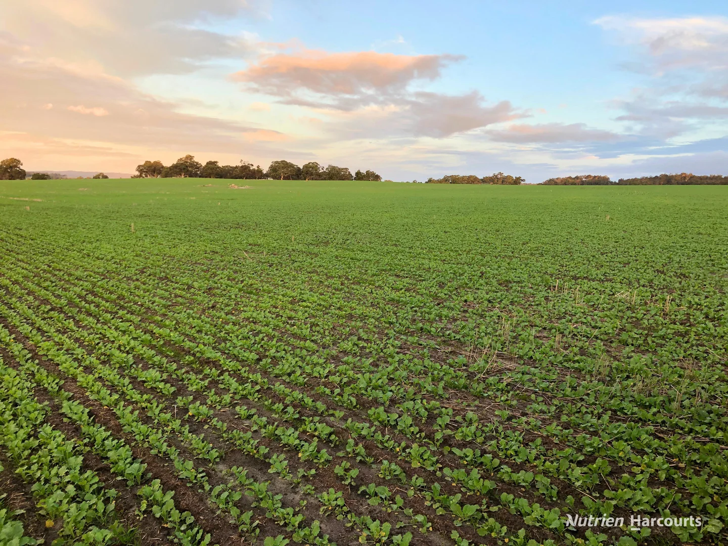8221 Brookton Highway - Image 4