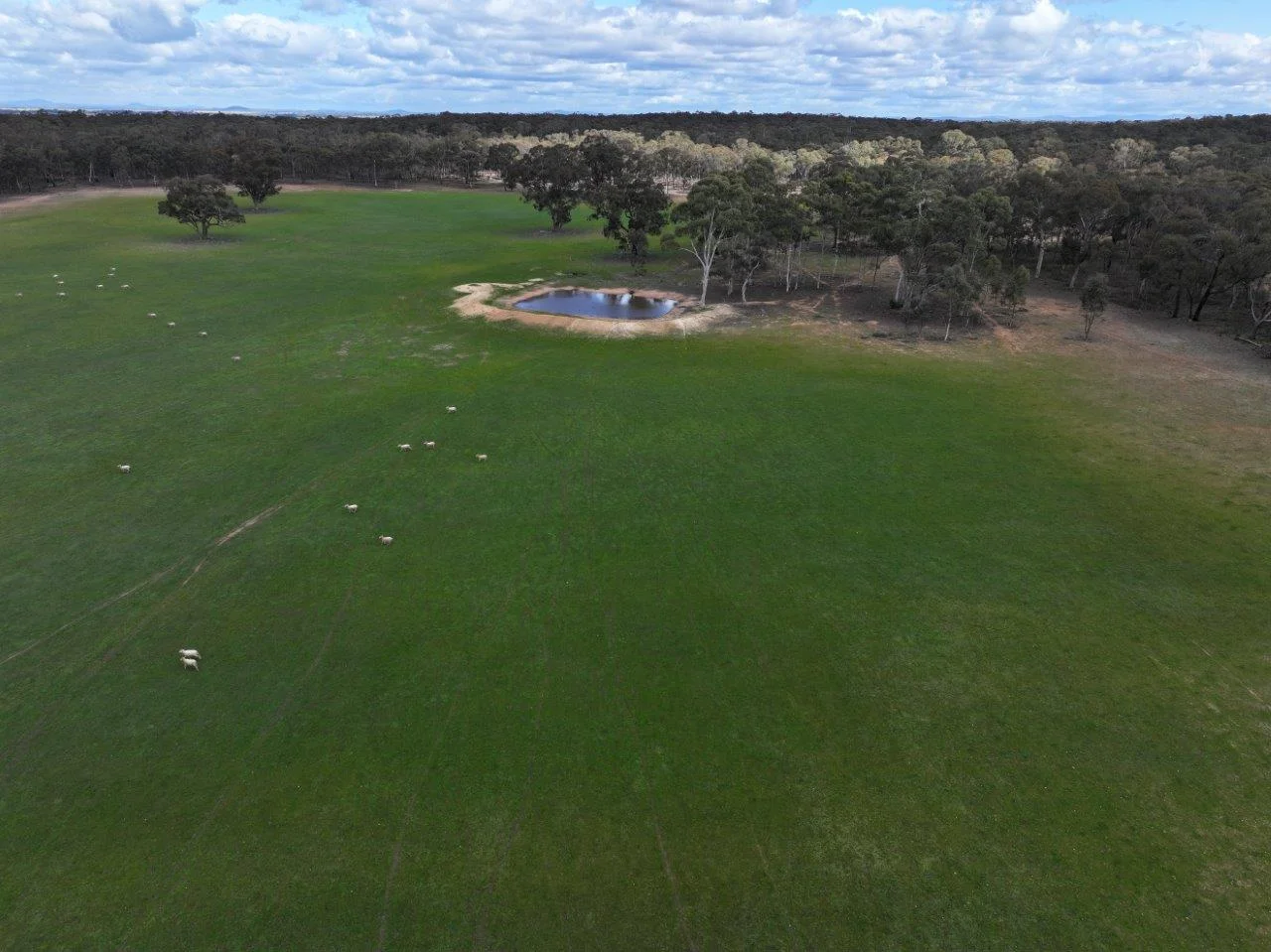 83 Tarnagulla-Eddington Road - Image 2
